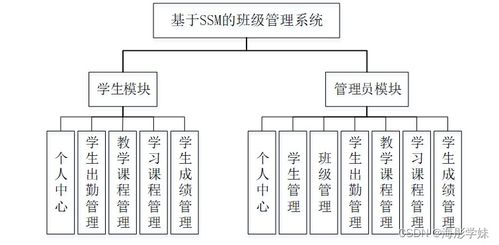 SpringBoot班级管理系统 计算机毕业设计实践与系统服务解析